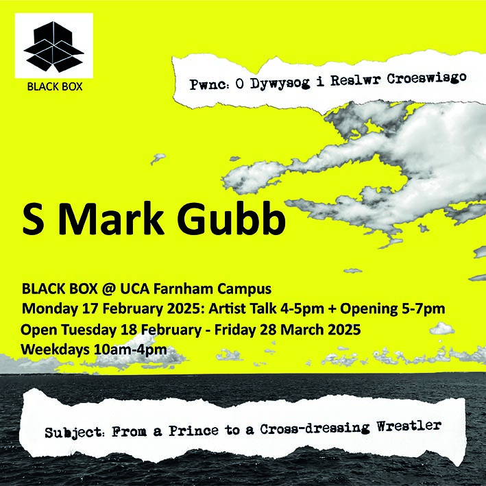 S Mark Gubb Black Box Poster